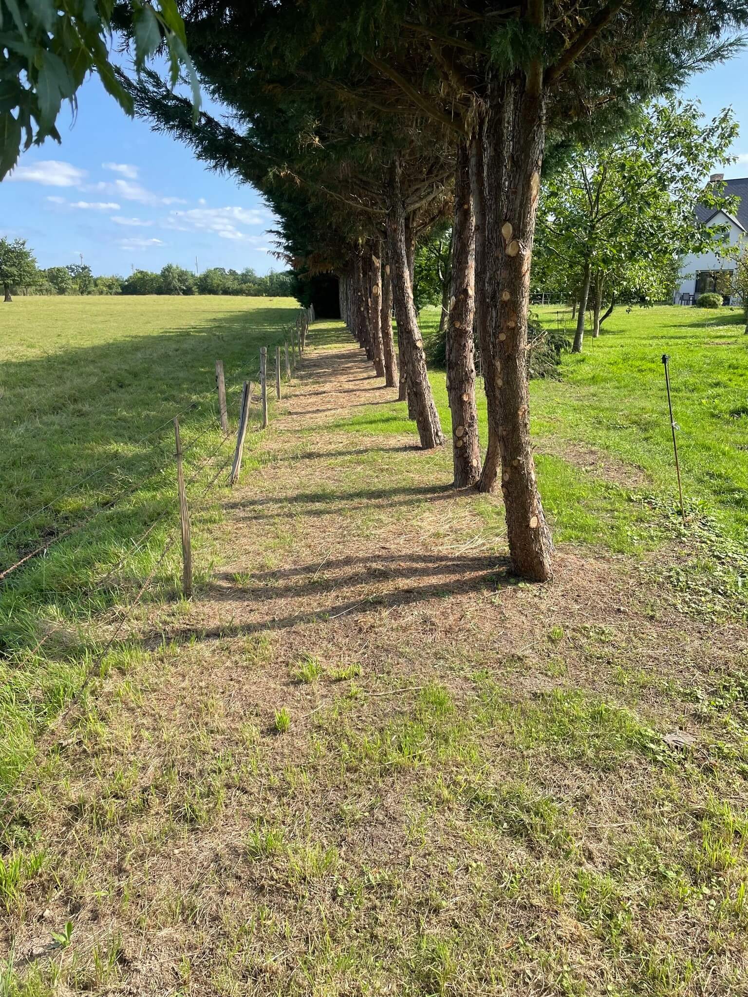 453879924_122122512380340838_854